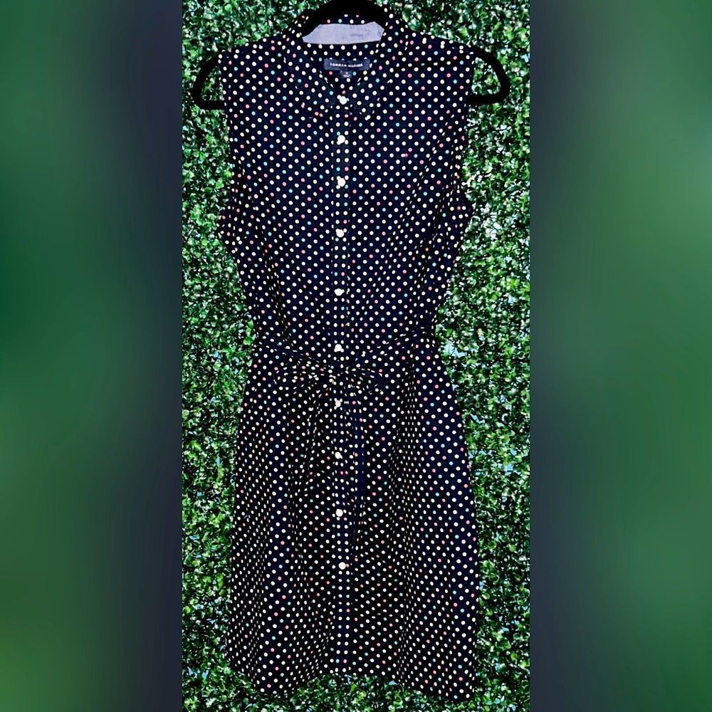 Women’s Tommy Hilfiger Navy and Multi Color Polka Dot Oxford Button Dress